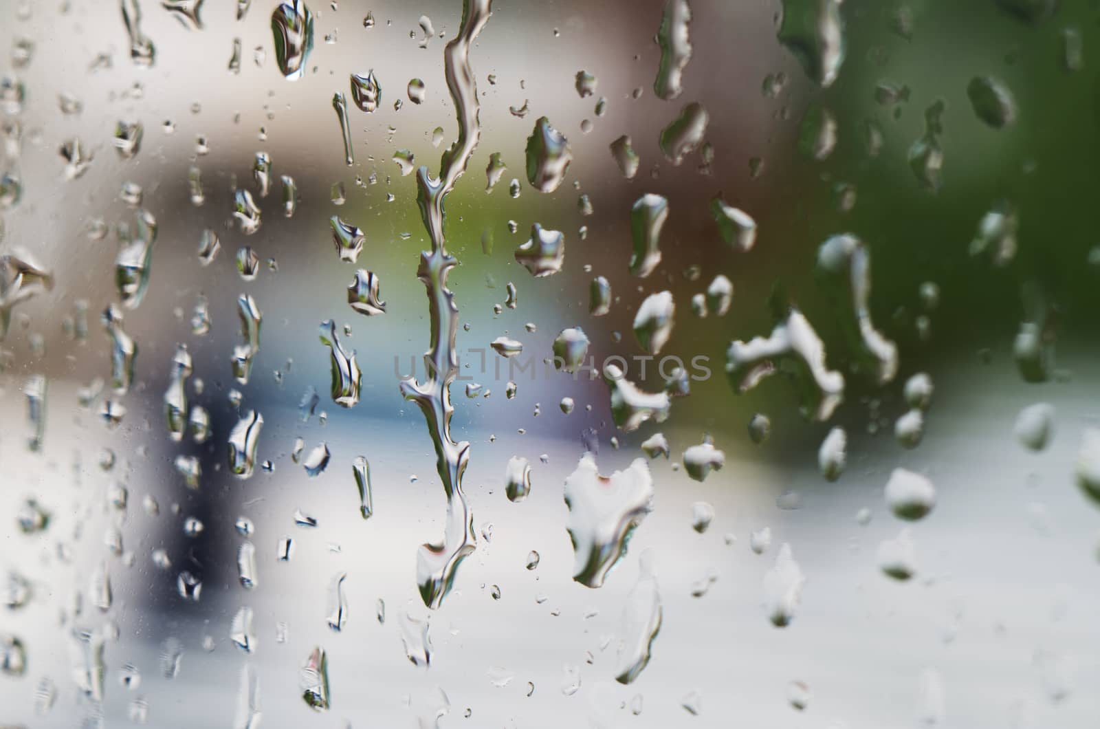 Macro shot of rain water drops on windows - selective focus