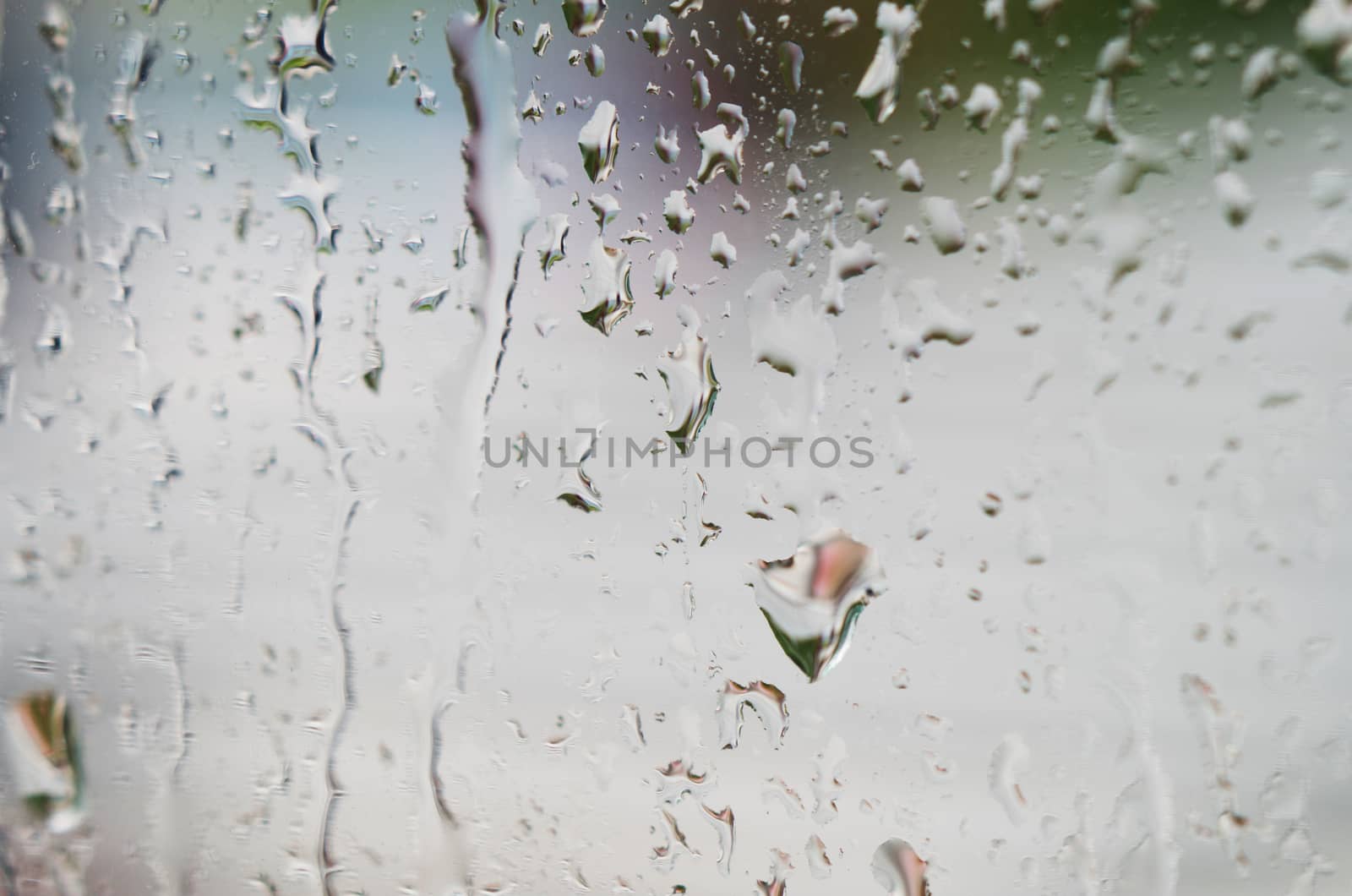 Macro shot of rain water drops on windows - selective focus