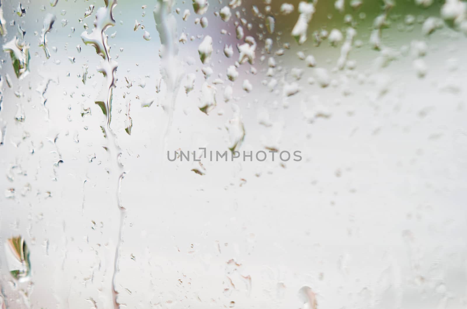 Macro shot of rain water drops on windows - selective focus