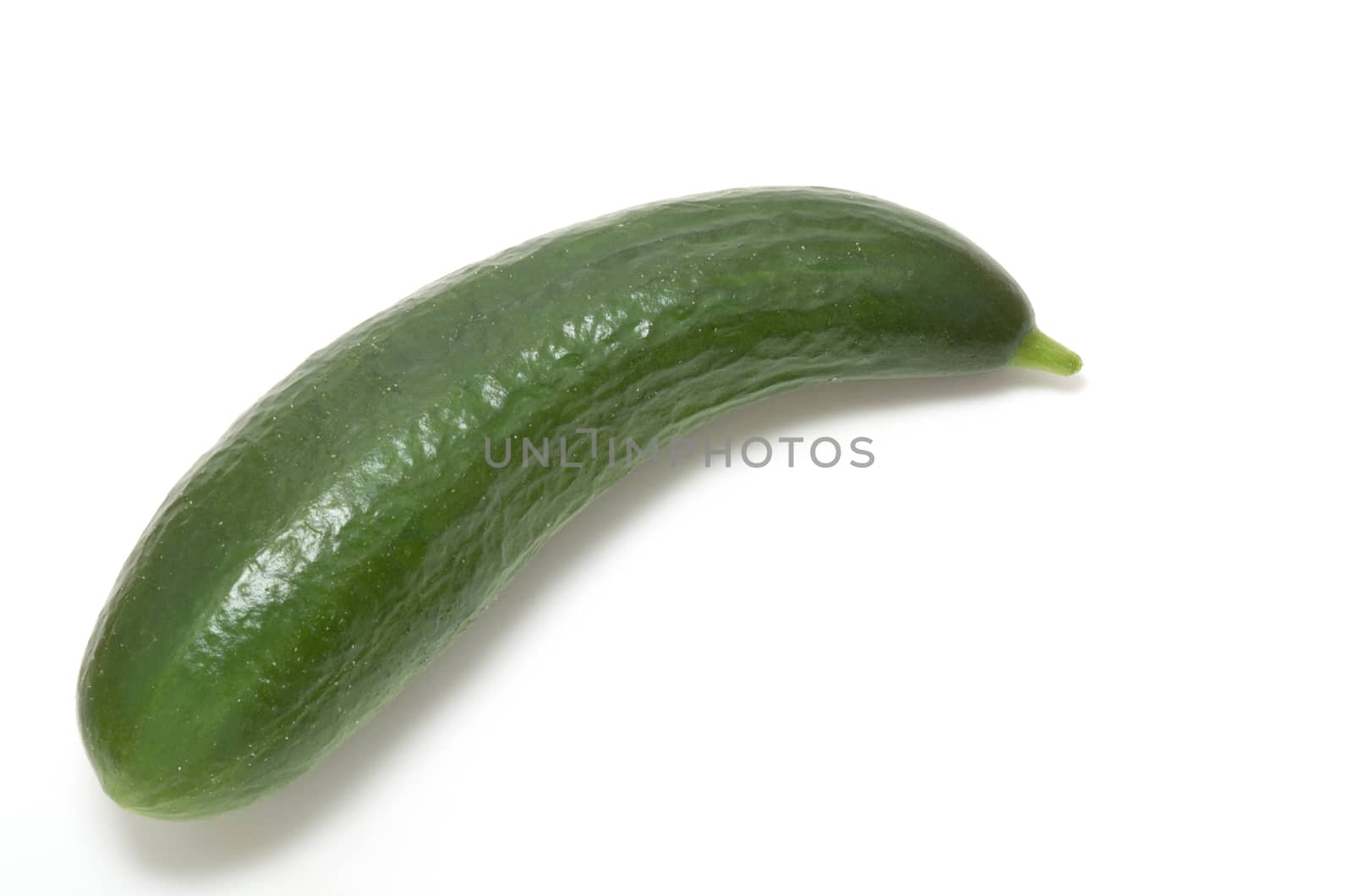 Fresh green cucumber  by daoleduc