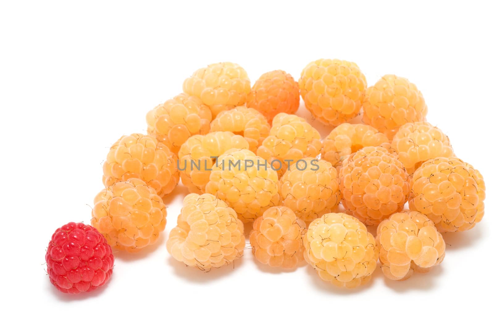 One red among several yellow raspberries  by daoleduc