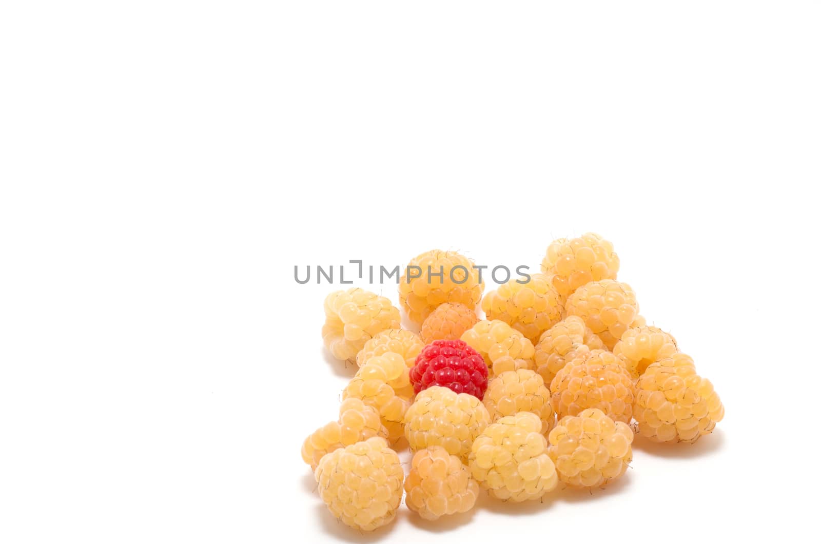 One red among several yellow raspberries  by daoleduc