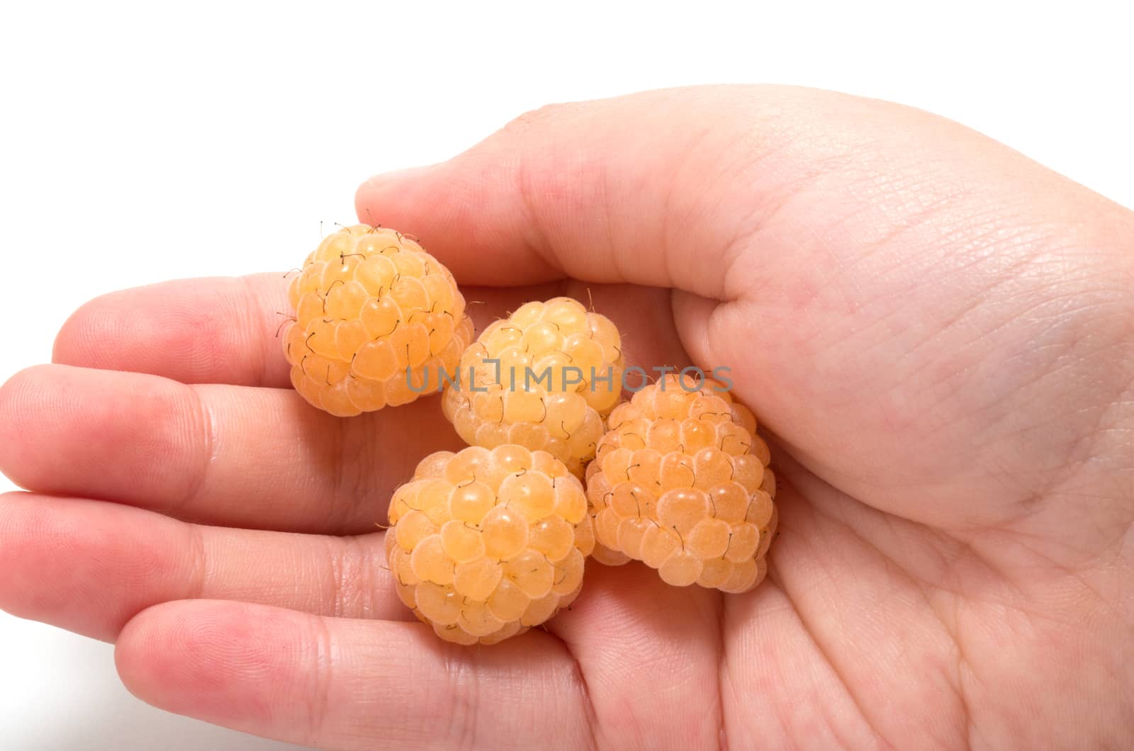 Child hand holding four yellow raspberries 