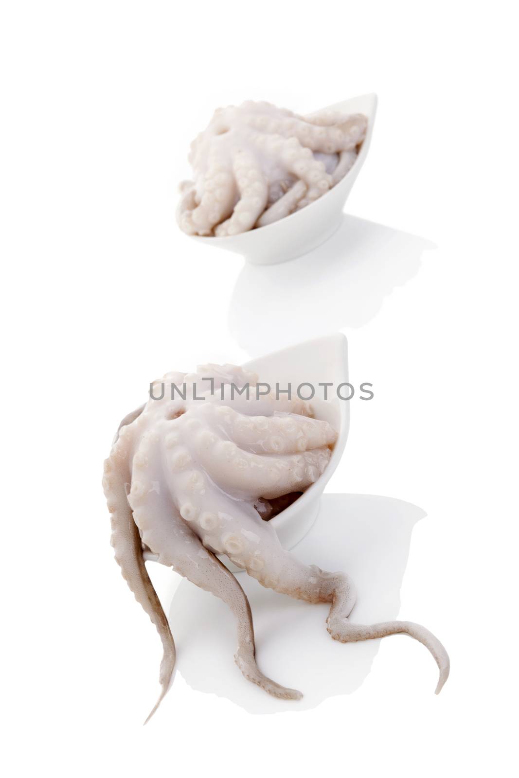 Culinary seafood eating. Raw octopus isolated on white background. 