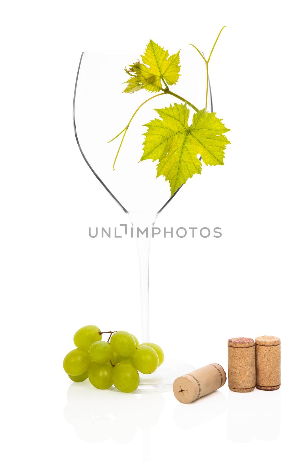 Luxurious empty wineglass with vine leaves, green grapes and wine corks isolated on white background. Luxurious culinary wine drinking still life.