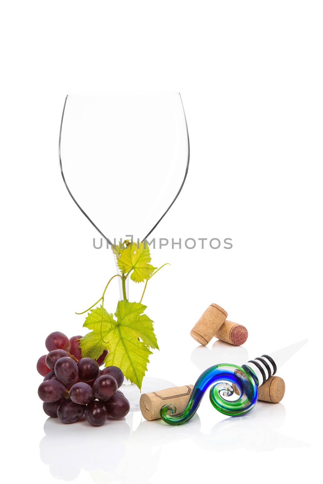 Wine glass, with cabernet sauvignon grapes, vine leaves wine stopper and wine corks isolated on white background. Culinary gourmet red wine drinking.