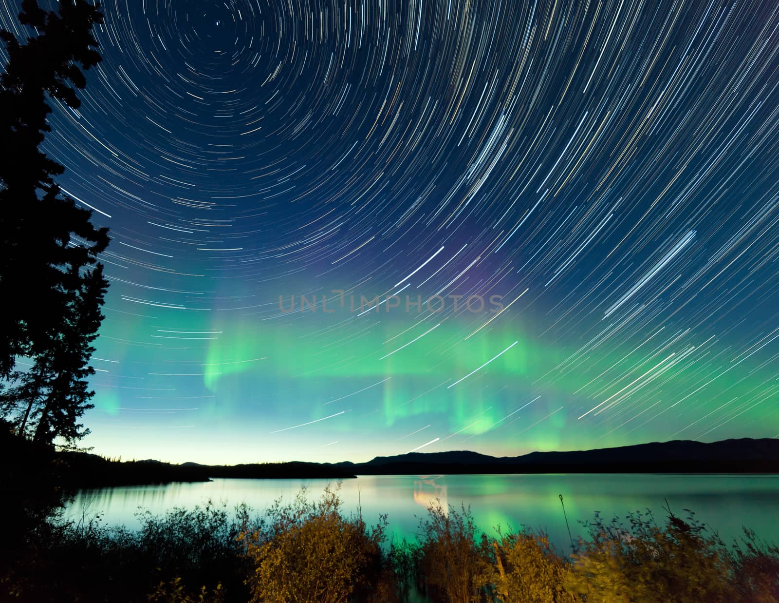 Startrails Northern Lights display Lake Laberge by PiLens