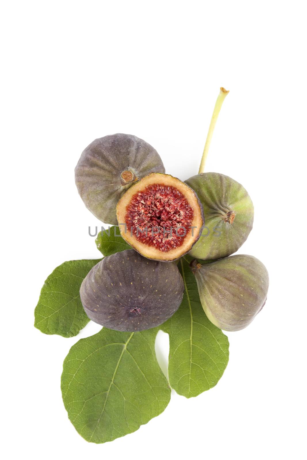 Fresh figs with green fig leaves isolated on white background. Healthy fig eating. 