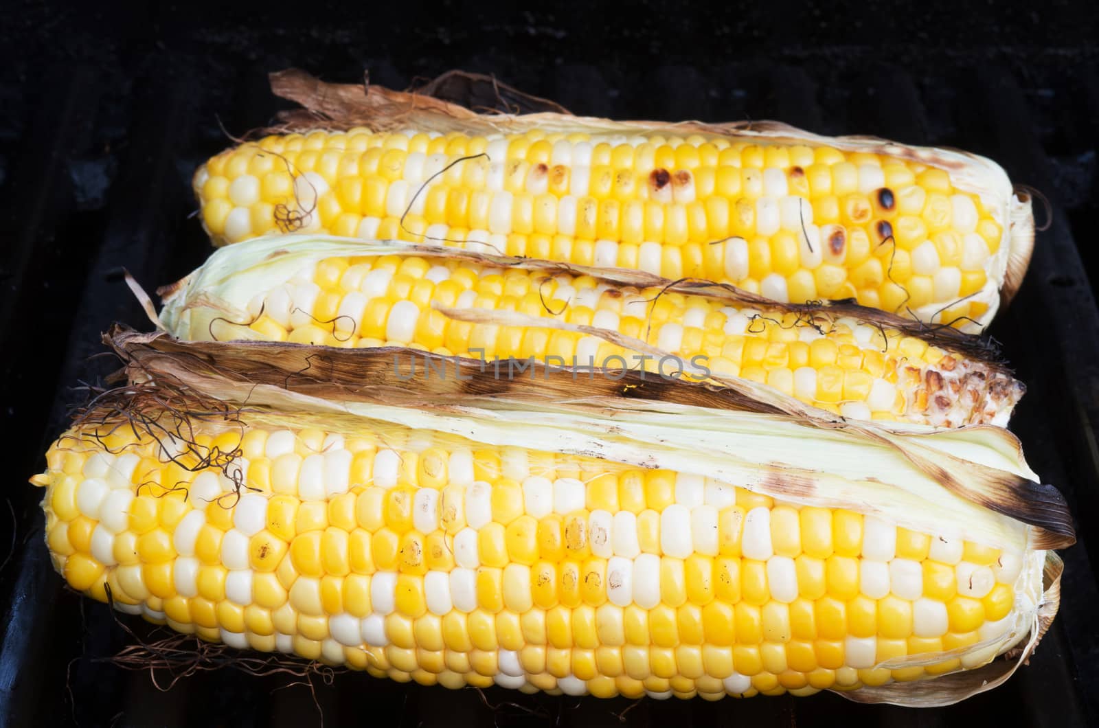 Three sweet corns grilled on a BBQ