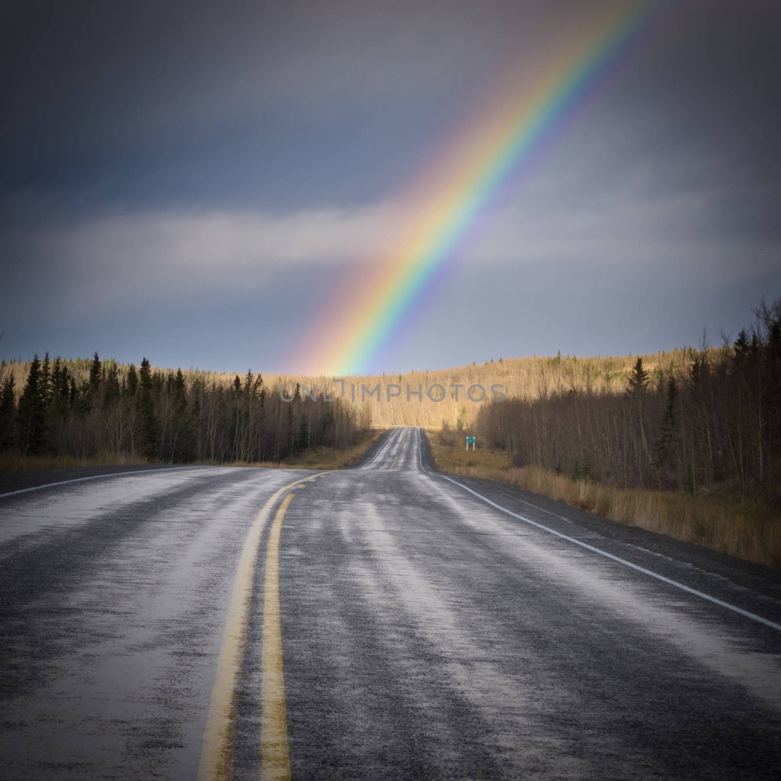 Wet asphalt road leading to colourful rainbow over late fall forested landscape after rain in Yukon Territory, Canada