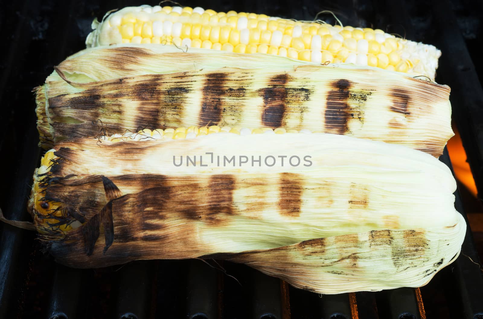 Three sweet corns grilled on a BBQ