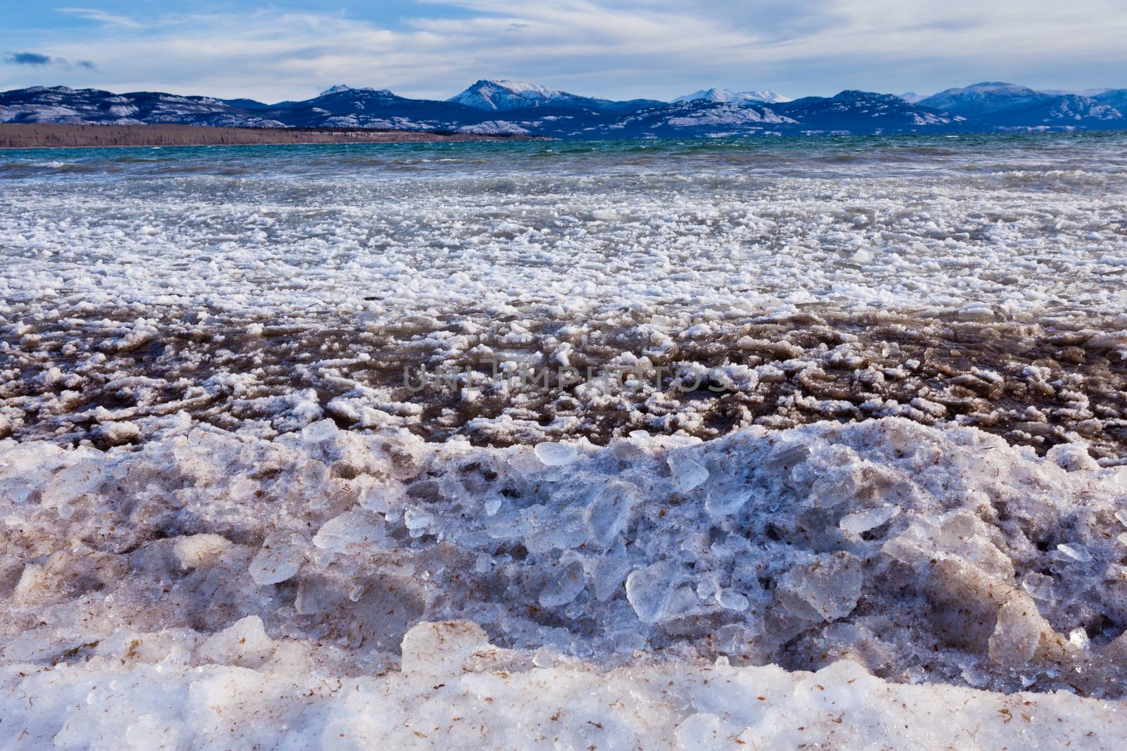 Shore ice during freeze-up of Lage Laberge, Yukon Territory, Canada, winter landscape