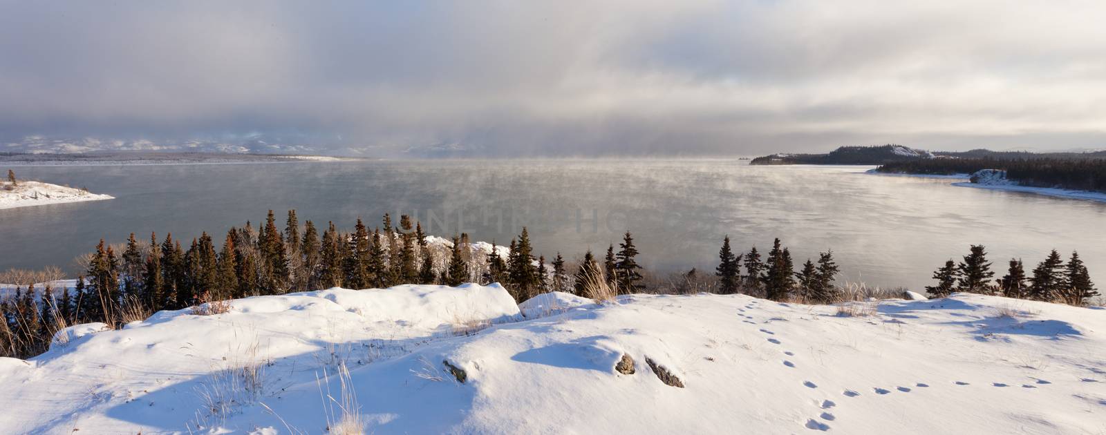 Steaming Lake Laberge, Yukon Territory, Canada, on cold winter day before freeze-up with fox tracks on snowy lake shore