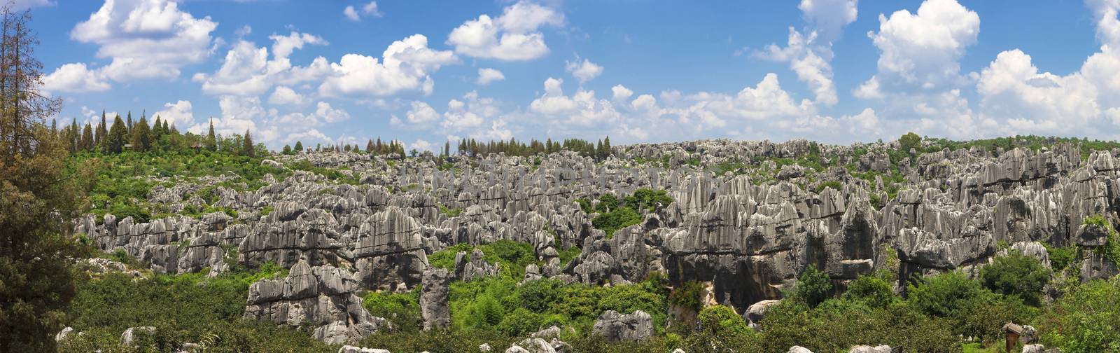 limestone Stone forest a UNESCO World Heritage Sites, Kunming Yunnan China.