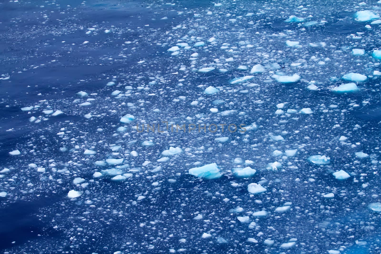 Arctic iceberg thawed. area Novaya Zemlya