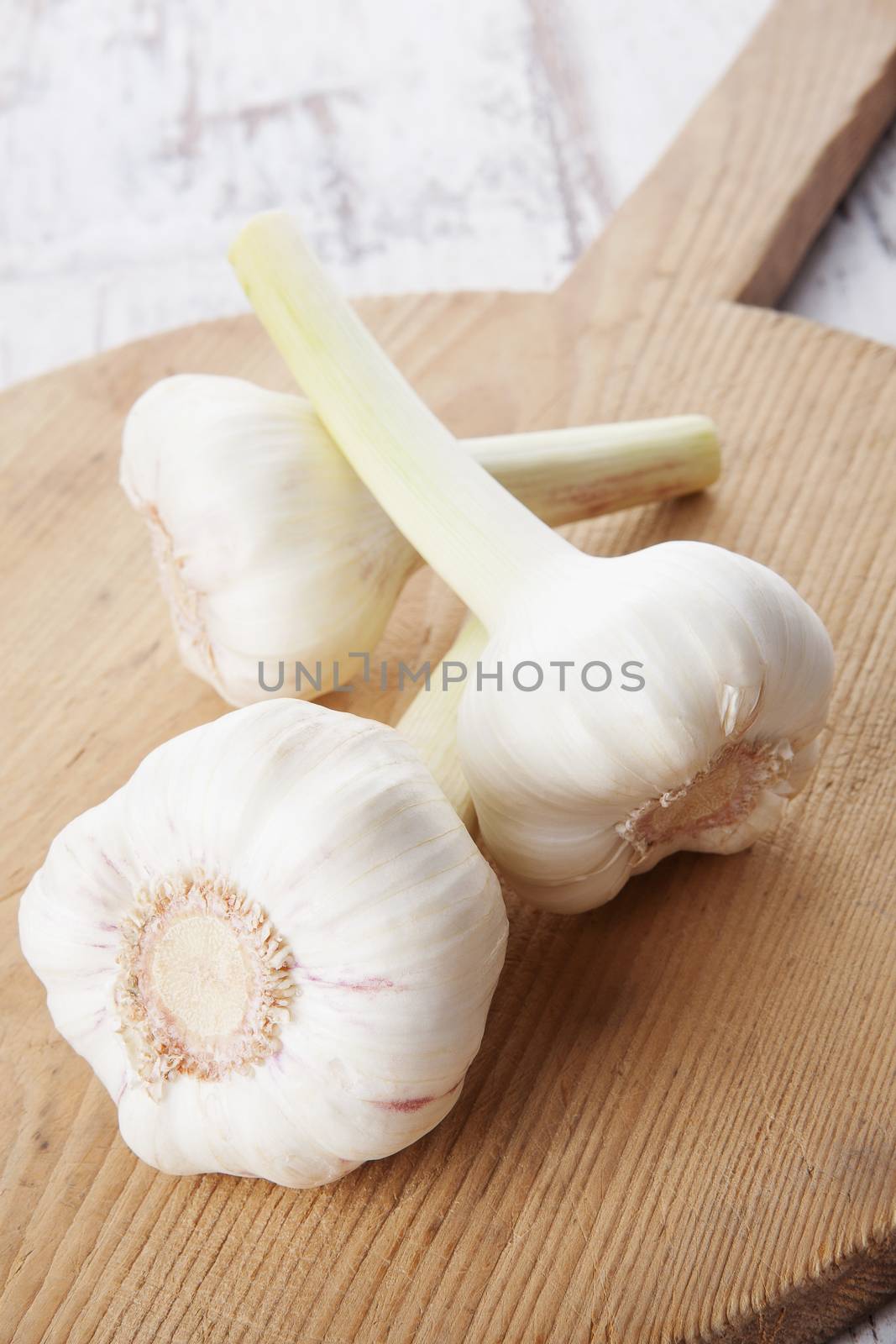 Garlic on wooden kitchen board. by eskymaks