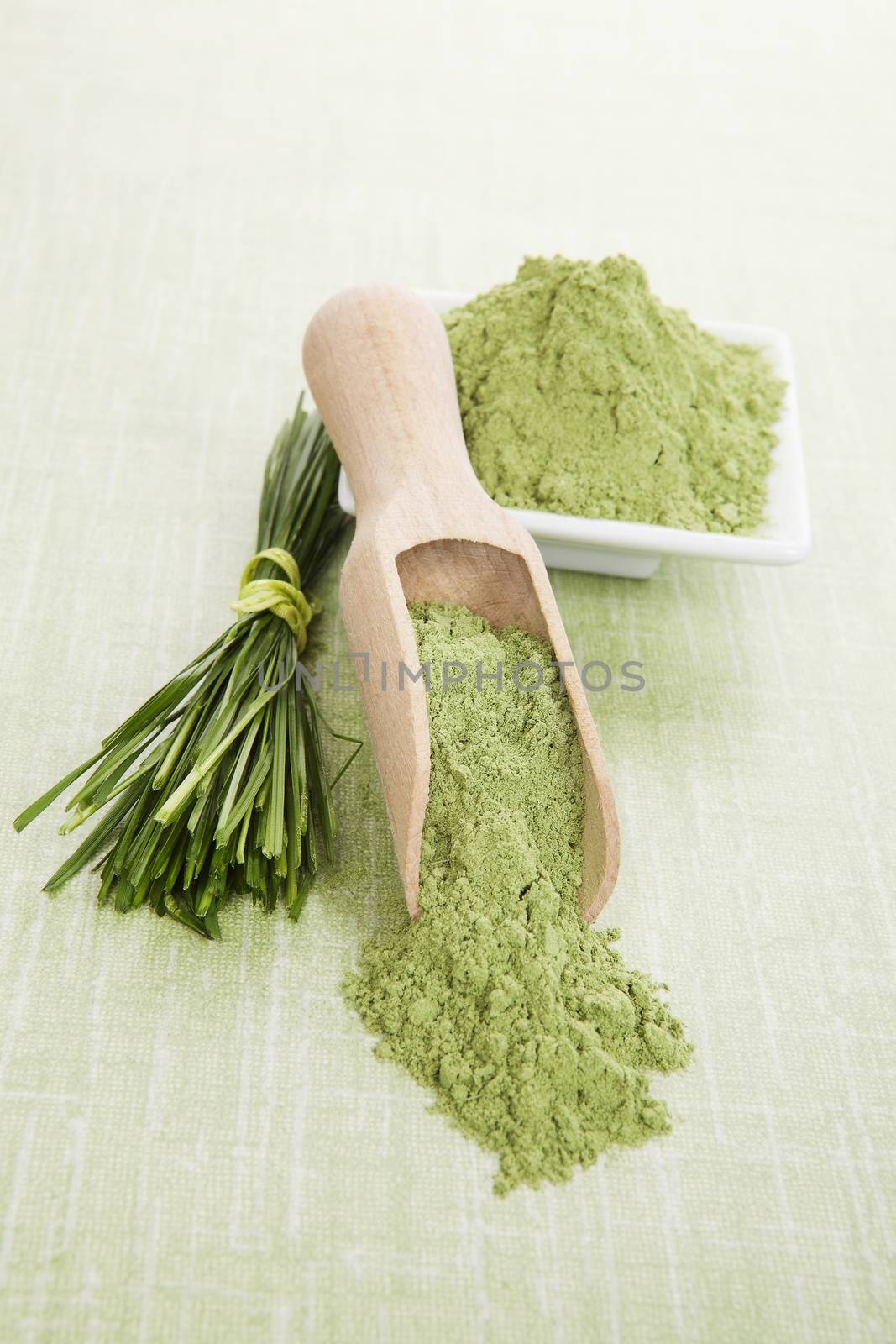 Green superfood. Wheatgrass blades and barley grass ground on wooden scoop on green background. Detox and healthy living.