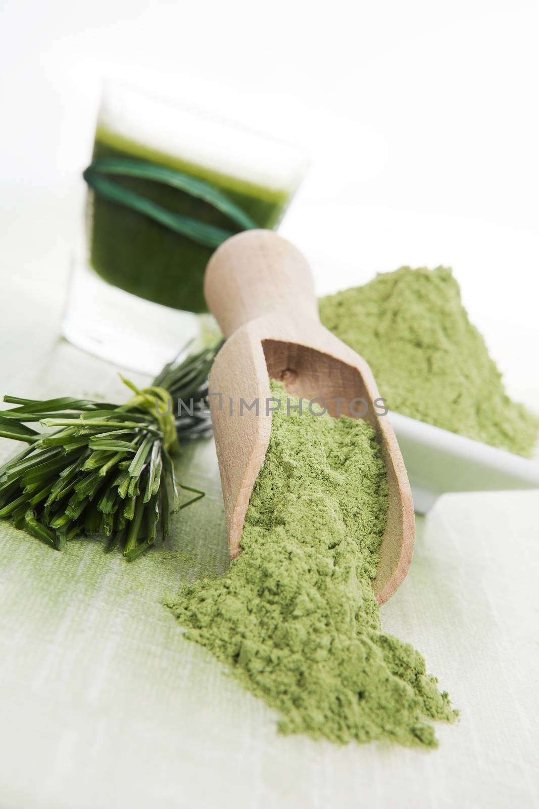 Luxurious green superfood background. Green juice, spirulina, chlorella, wheat grass and barley grass. 