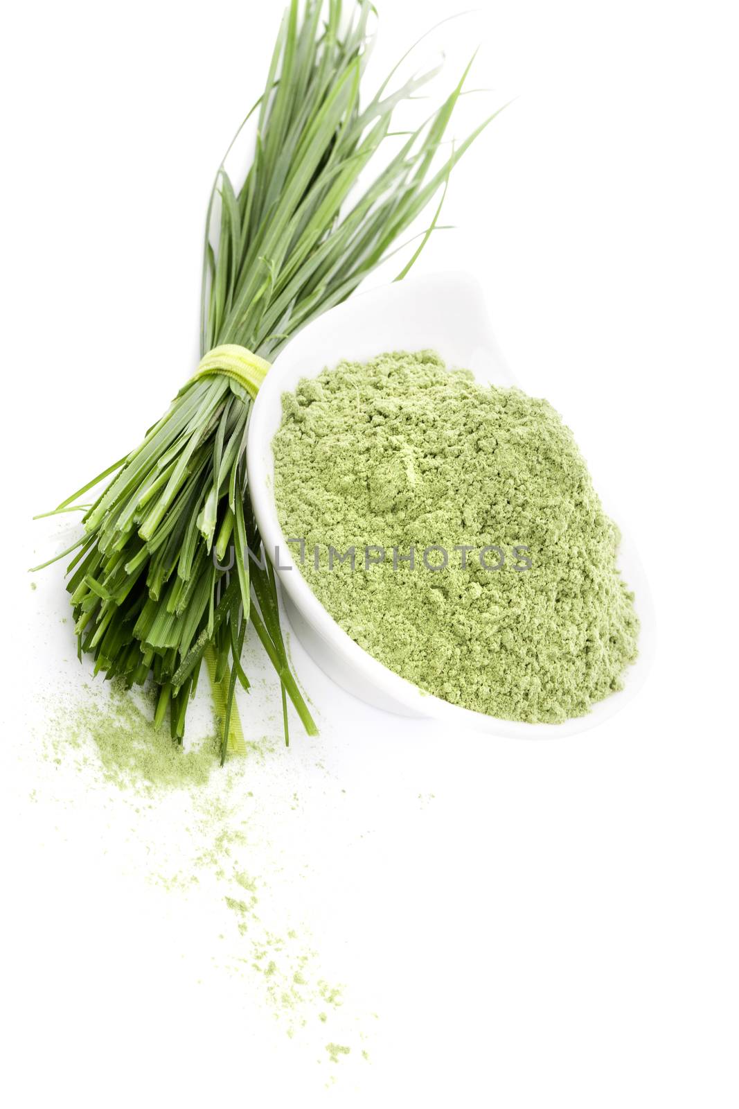 Wheatgrass. Ground wheatgrass powder and fresh blades isolated on white background. Healthy lifestyle, natural organic food supplement.