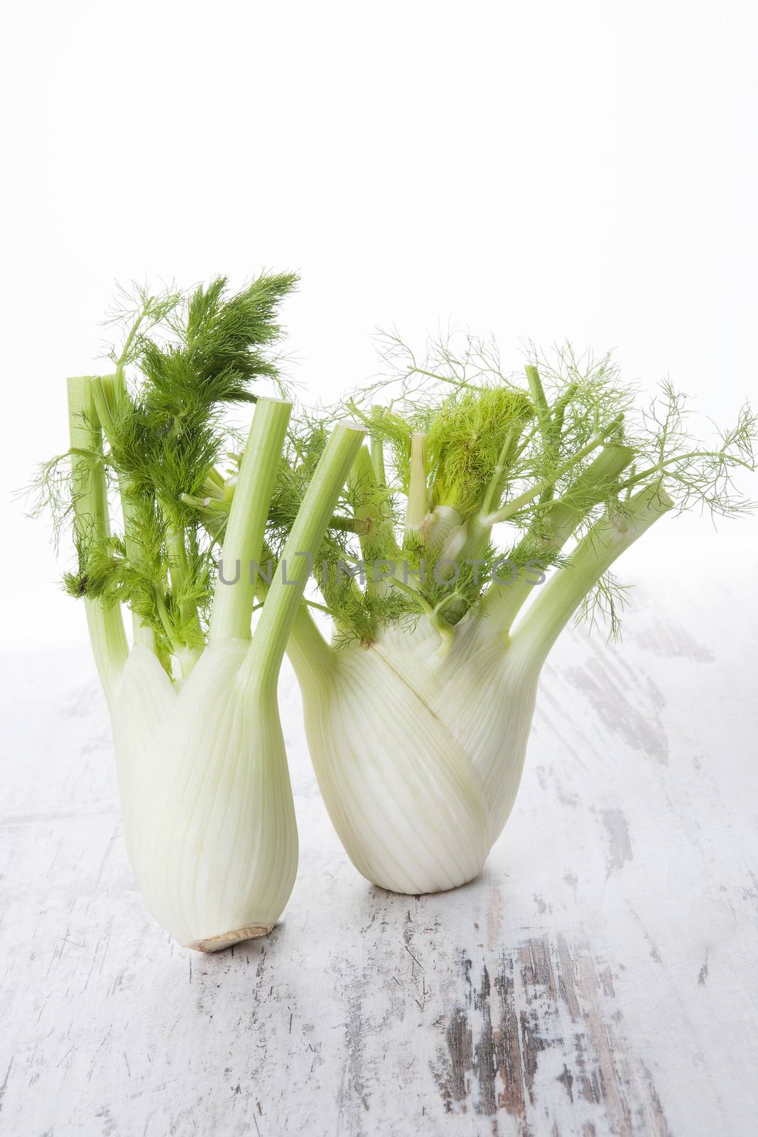 Delicious fennel still life. by eskymaks