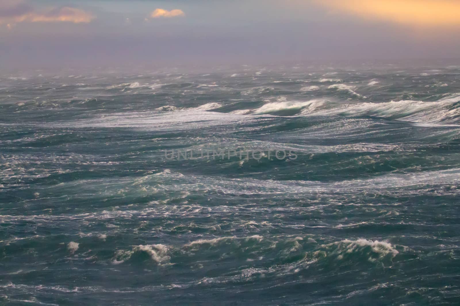 storm on  Kara Sea summer