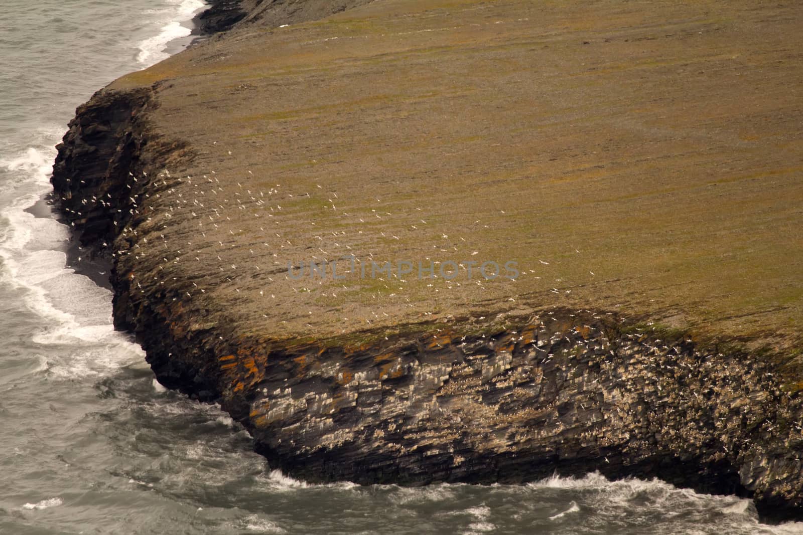 Arctic Northern island of Novaya Zemlya