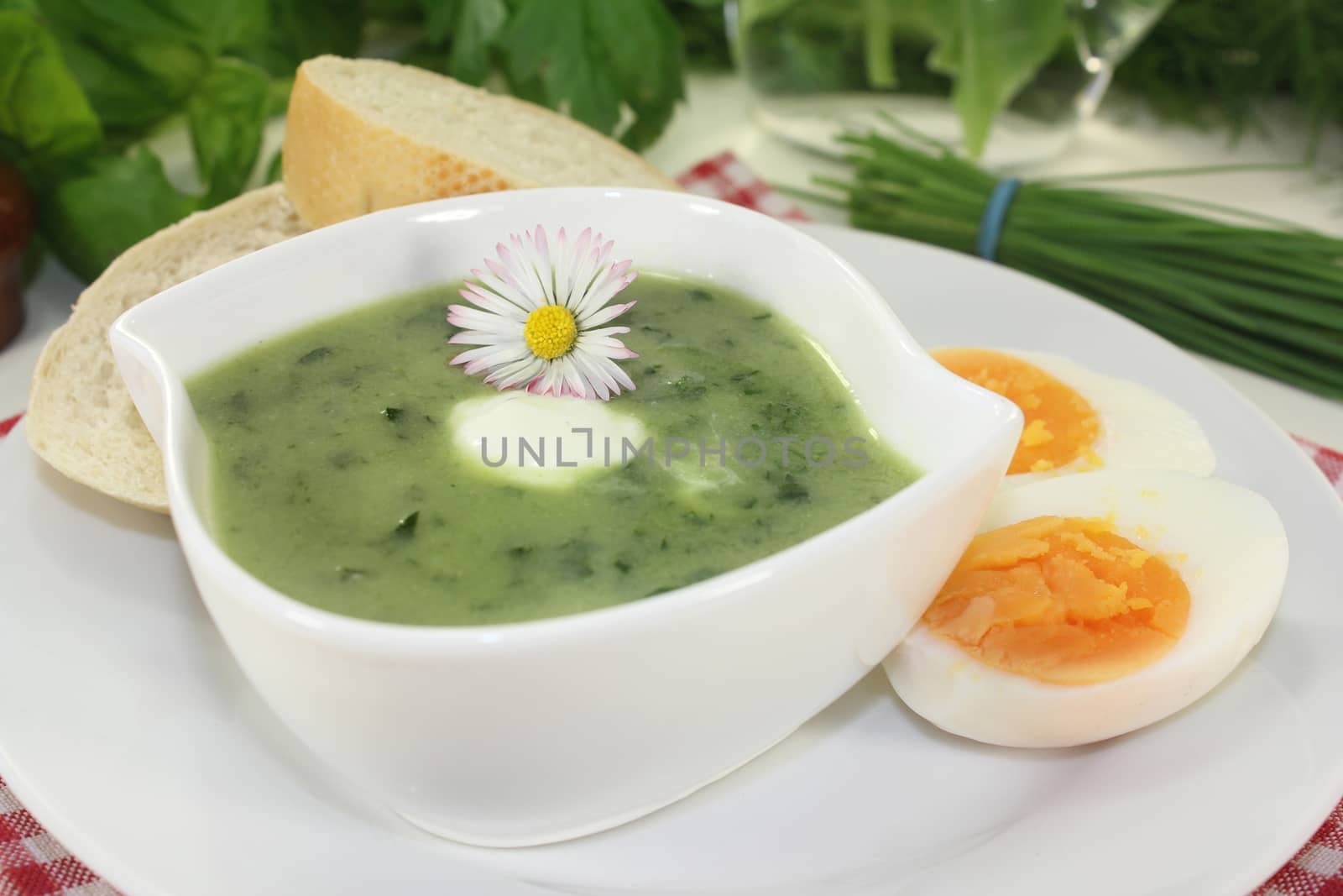 Herb soup by silencefoto