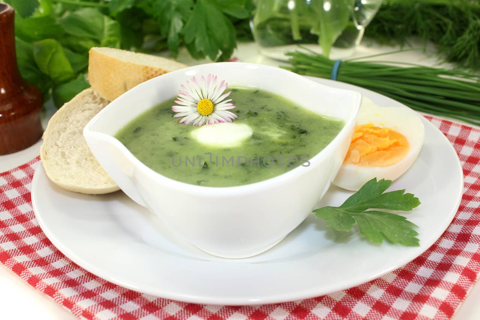 Herb soup by silencefoto