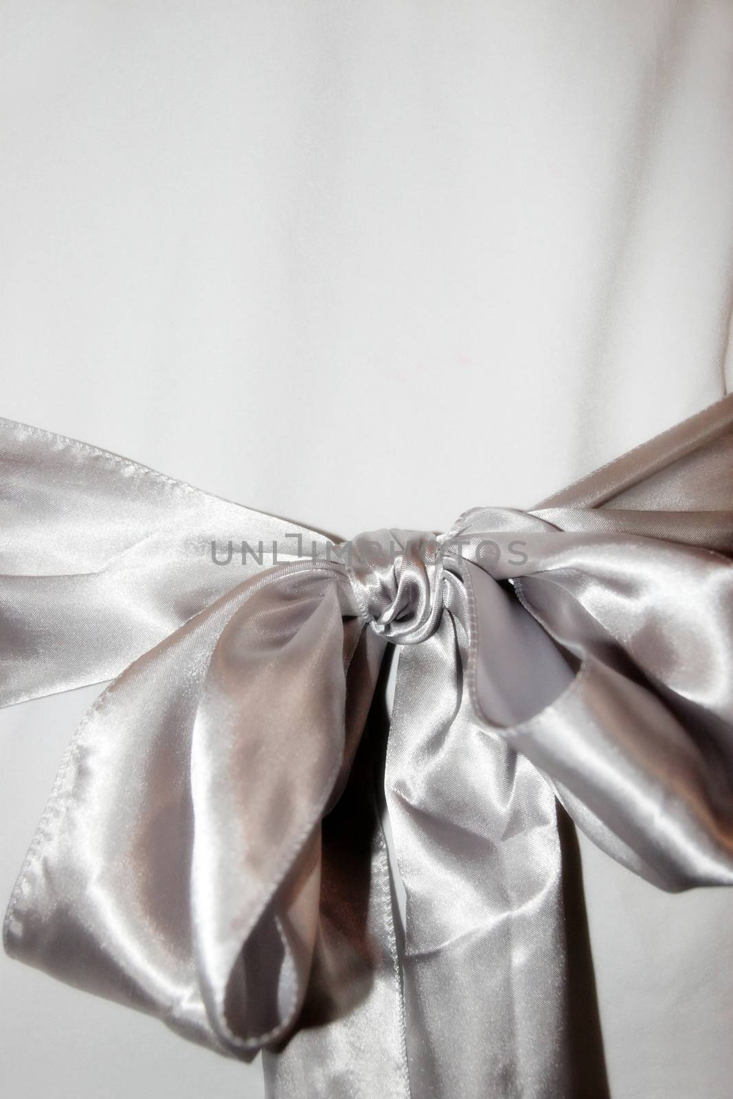 bow ribbon on the back of a wedding dress