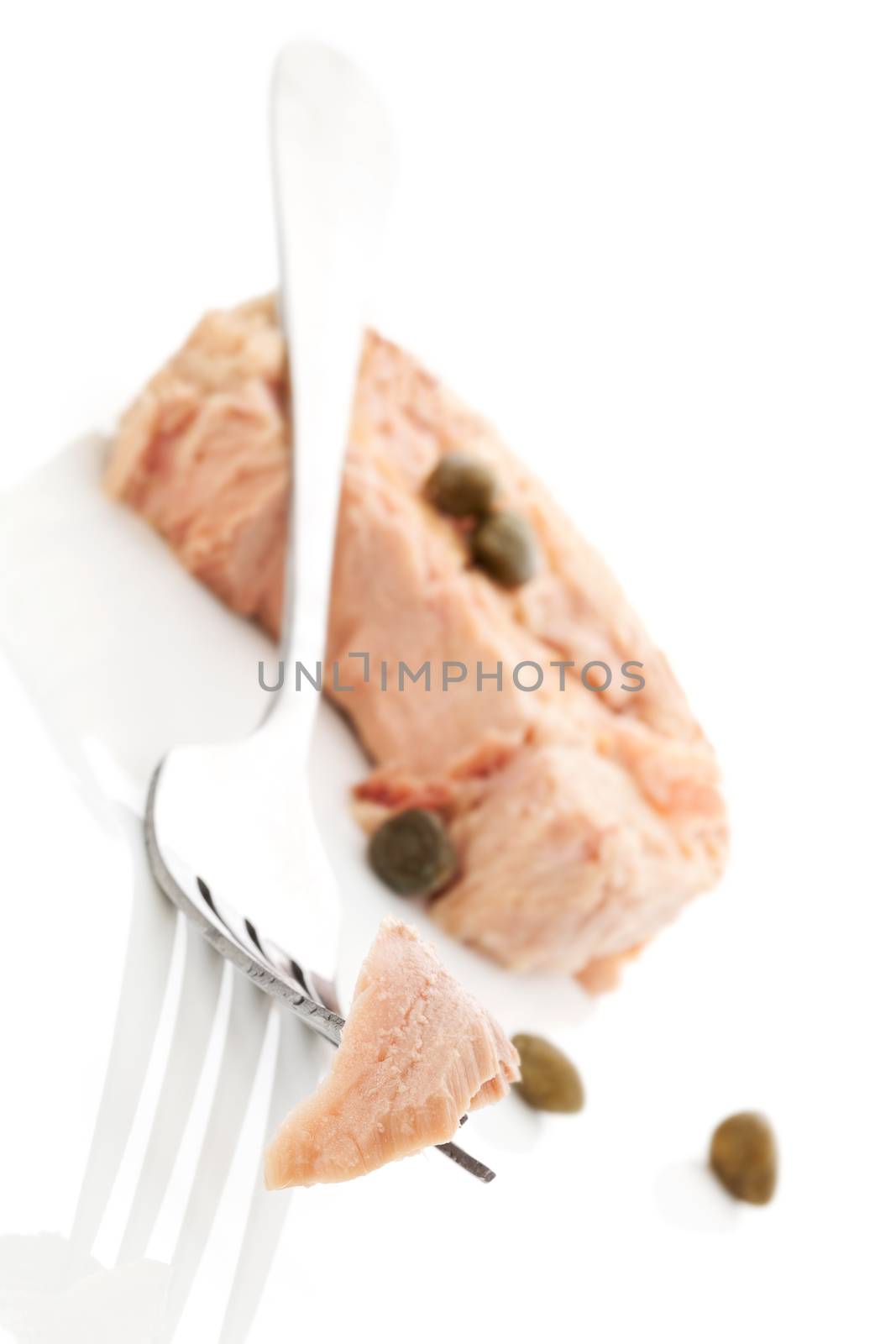Tuna piece on fork and canned tuna steak with capers isolated on white background. Culinary seafood eating.