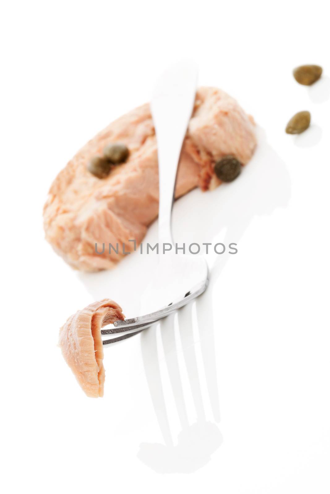 Delicious tuna piece on fork, tuna steak in background isolated on white background. Culinary seafood eating, minimal modern style.