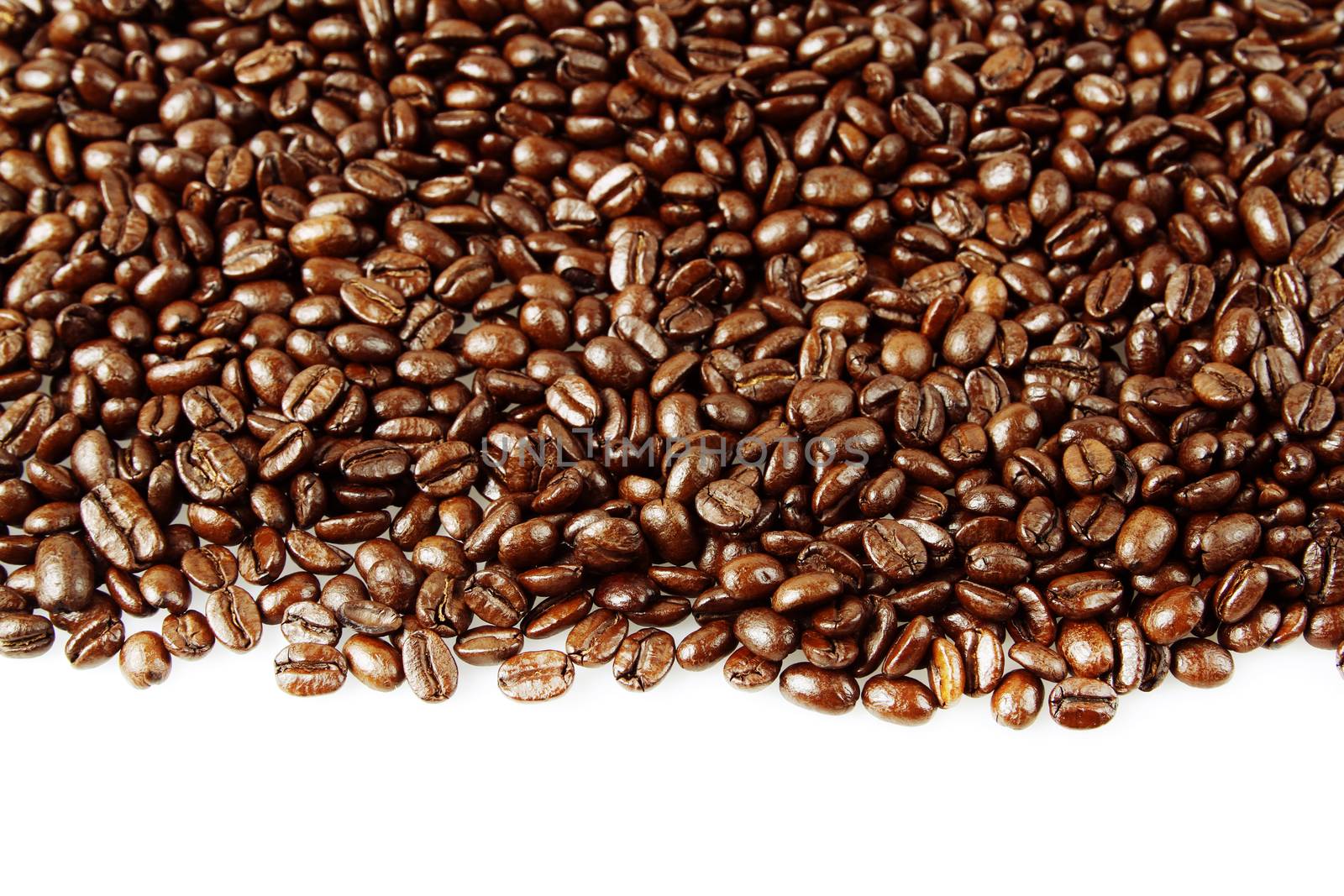 Closeup of coffee beans on plain background. Copy space