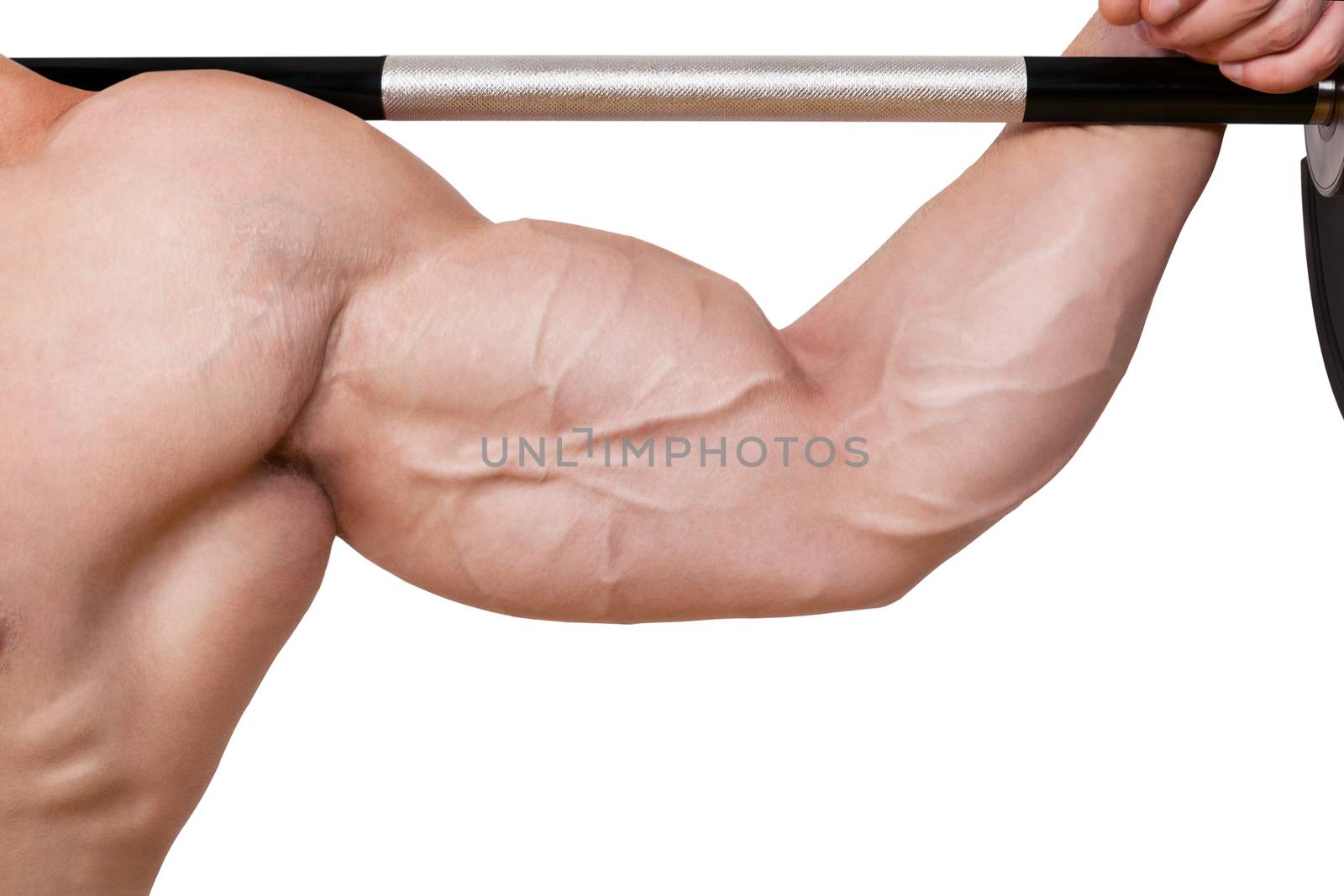 Fitness background. Male caucasian bodybuilder with big biceps holding barbell isolated on white background. 