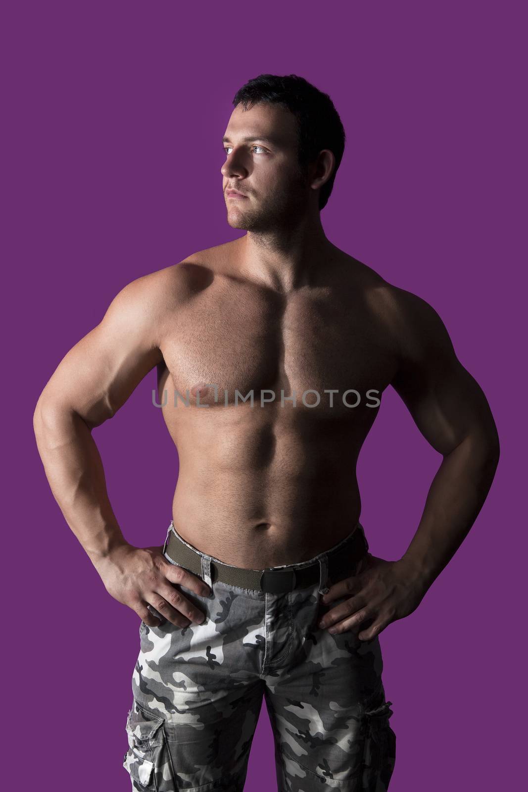 Sexy shirtless muscular model posing on purple background. Muscle, sports and fitness.