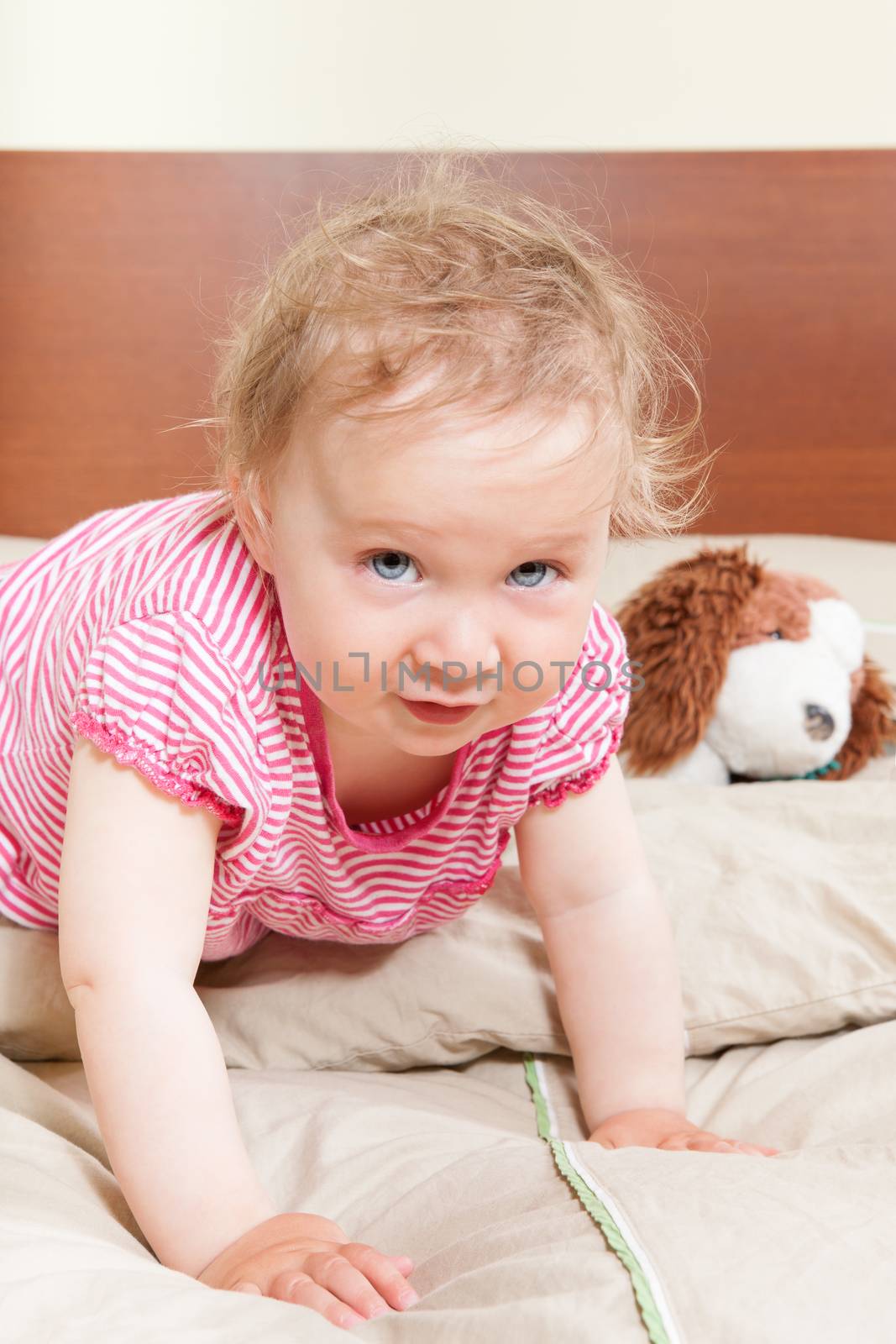 Cute adorable 12 month old baby girl with big blue eyes on bed with her favorite toy looking into camera. 