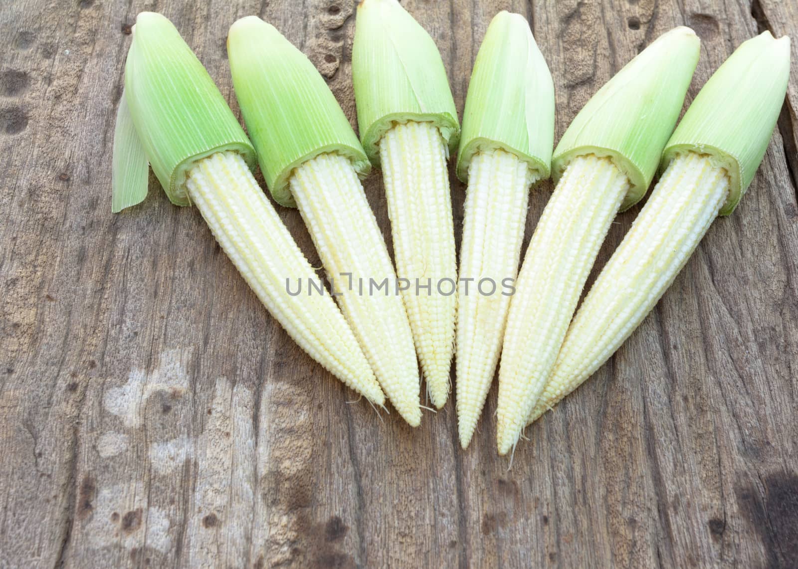 Baby corns on wood