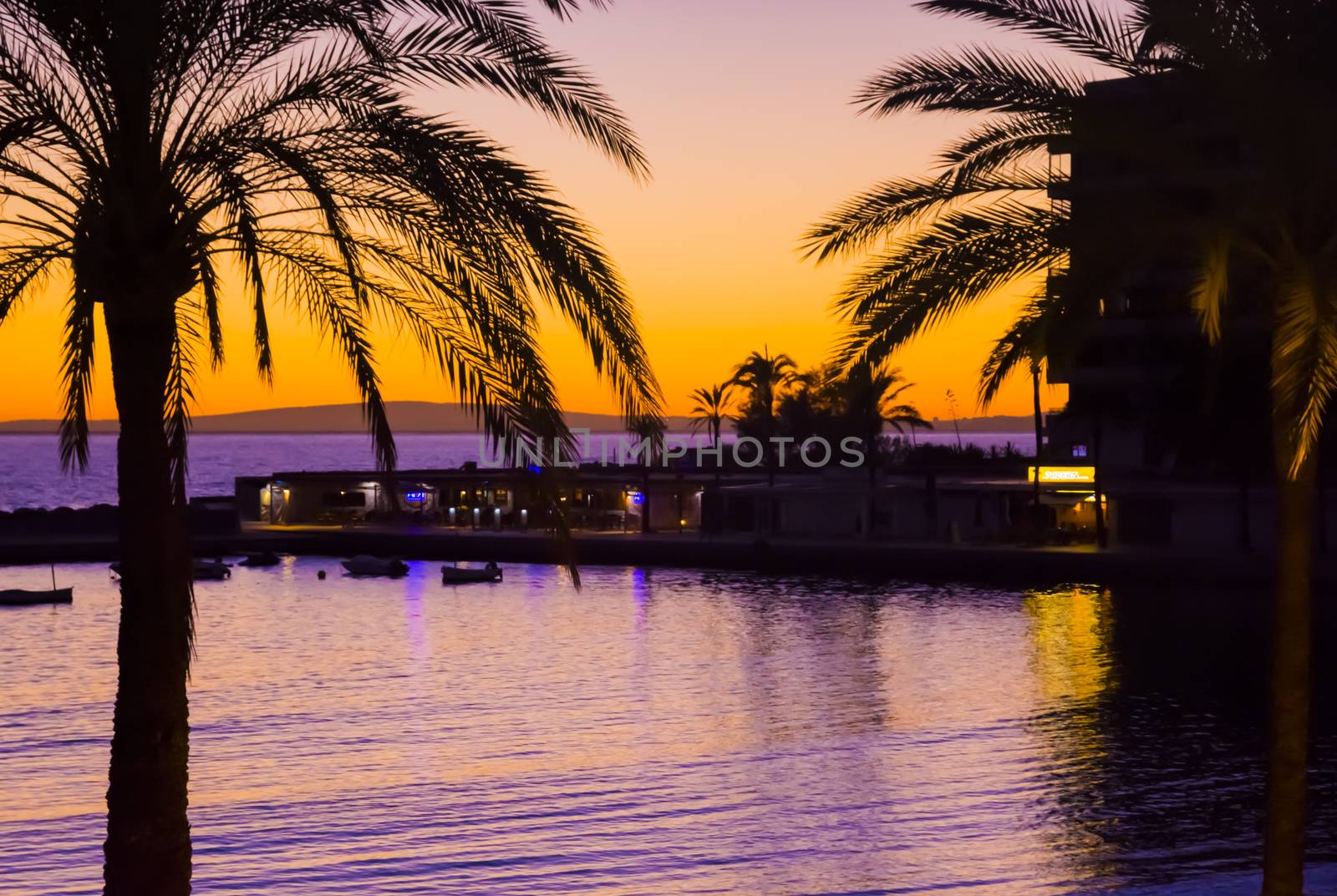 Sunset palms. Sunset in saturated yellow evening sky and purple with silhouette palm trees at Cala Estancia, Mallorca, Balearic islands, Spain.