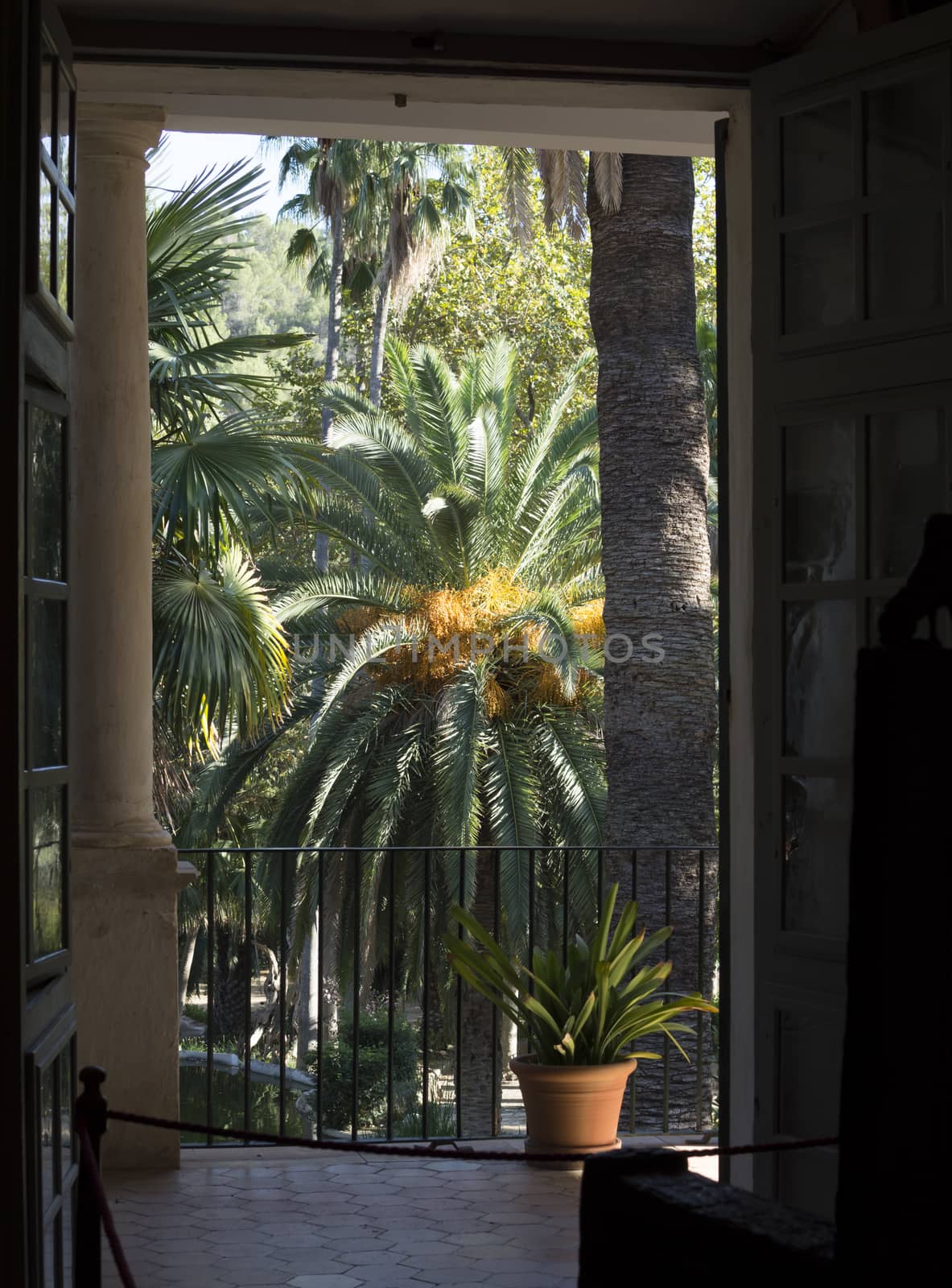Terrace with terra-cotta pot with view into Mediterranean garden with palm trees. Jardins de Alfabia, Mallorca, Balearic islands, Spain.