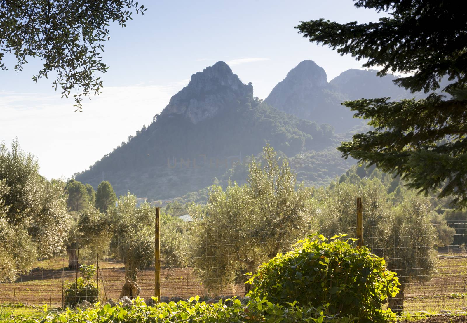 Two mountain tops. Garden view with two mountain tops, Soller, Mallorca, Balearic islands, Spain.
