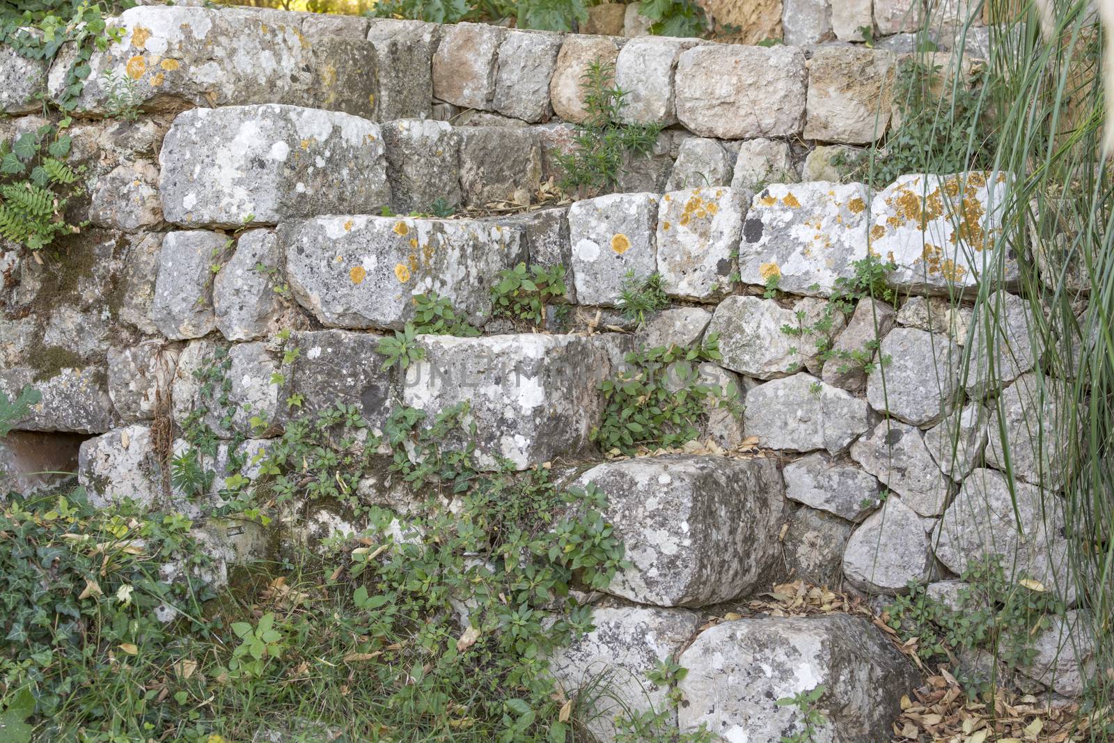 Old Stone Wall by ArtesiaWells