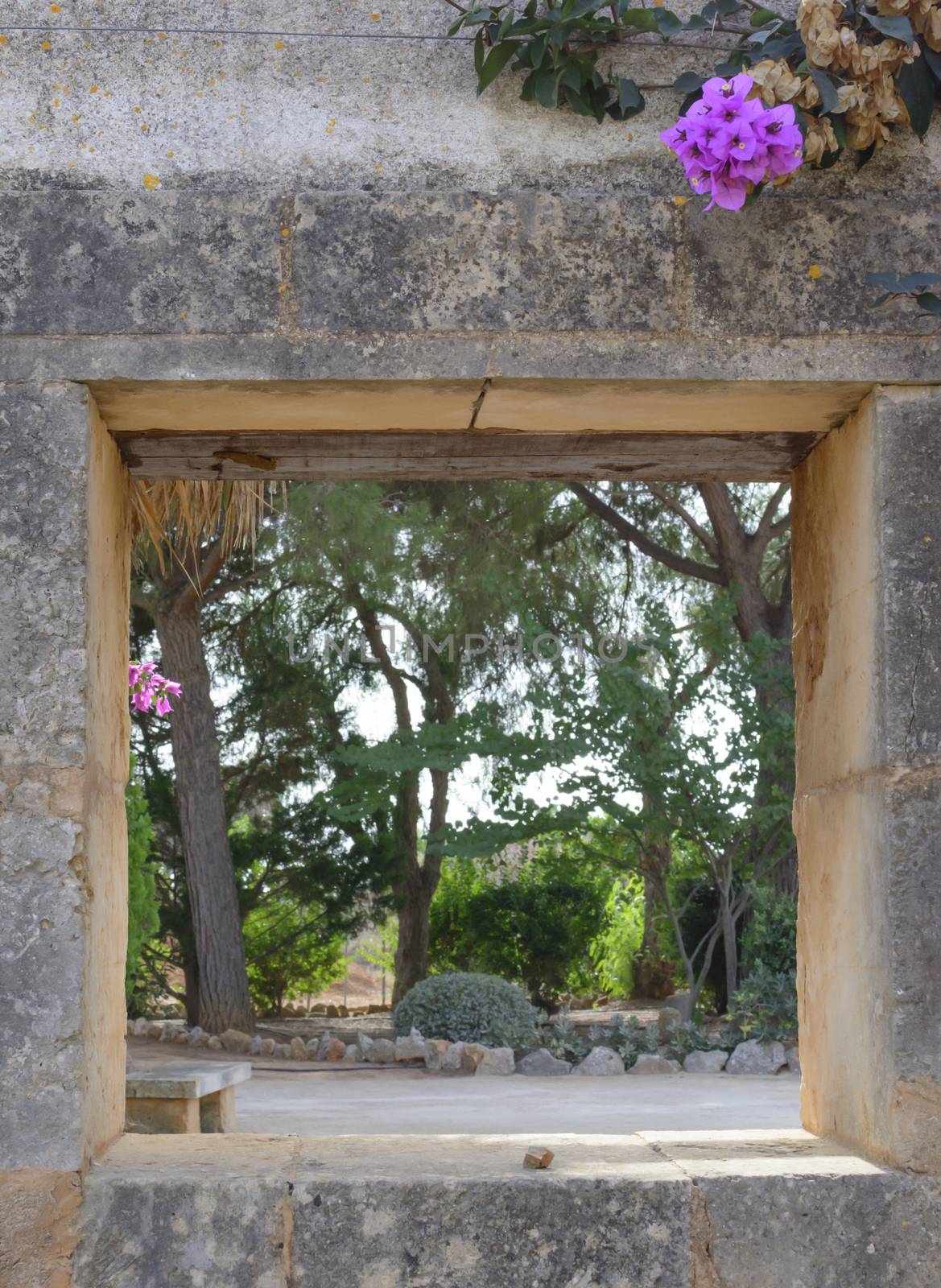 Stone Wall Opening with pink flower. Mallorca, Balearic islands, Spain.