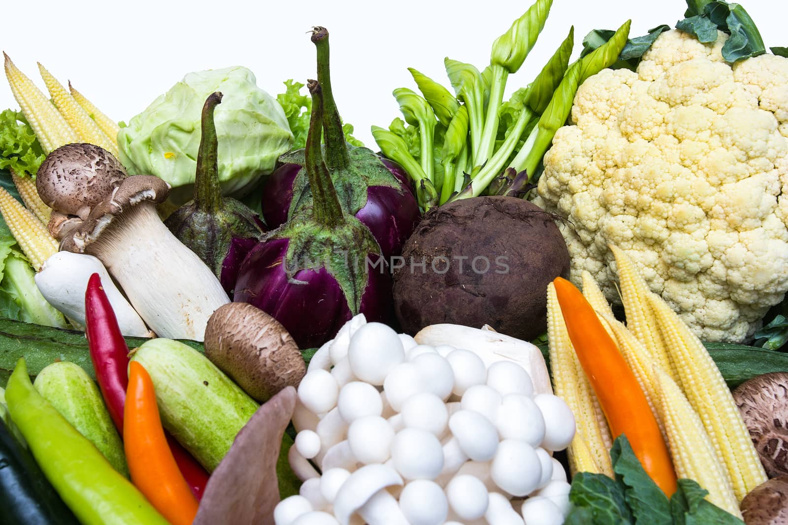 This is vegetables isolated on a white background