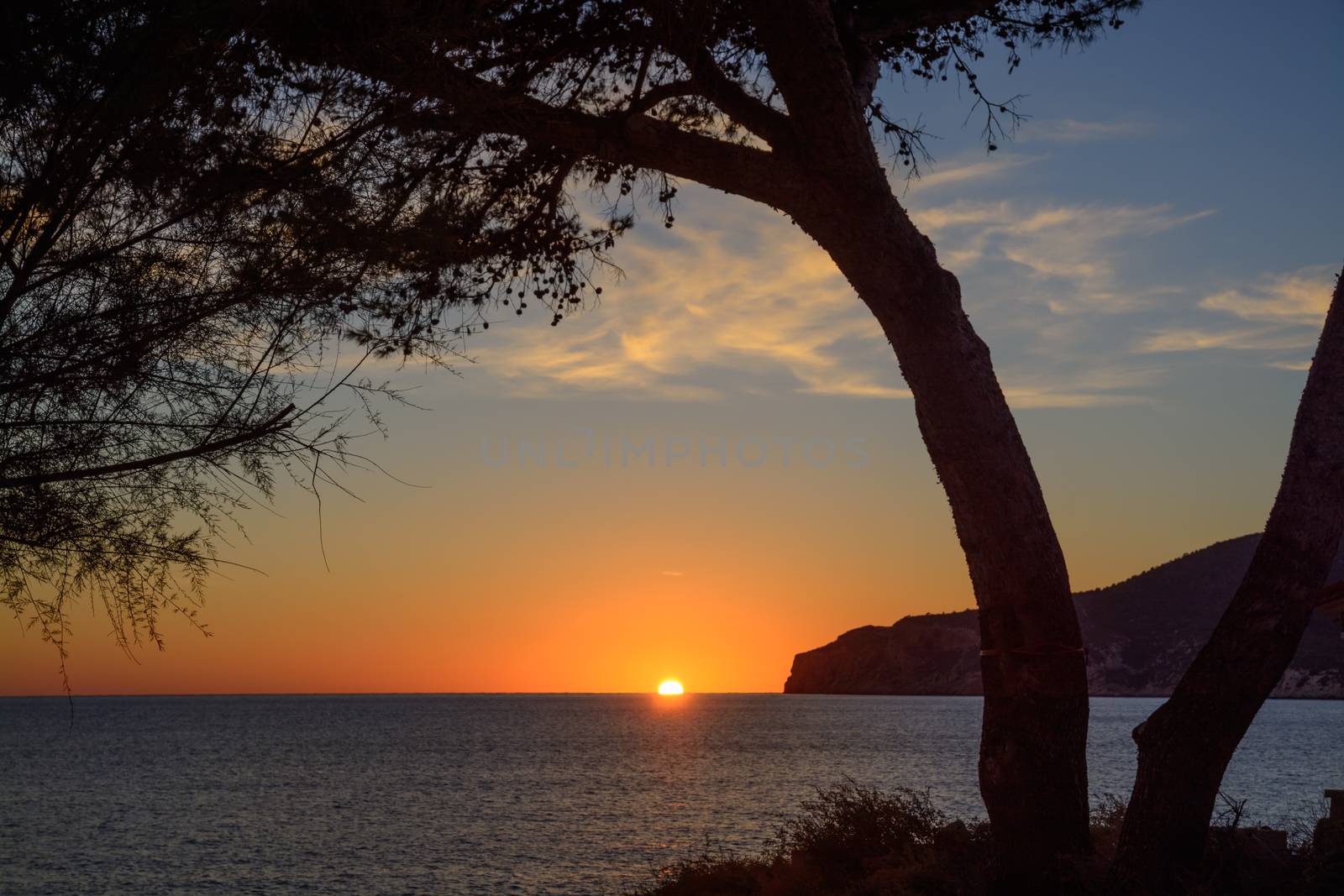 Tree framing sunset in Sant Elm. Silhouette of a tree framing the sun as it sinks below the horizon in early November. Sant Elm, Mallorca, Balearic islands, Spain.