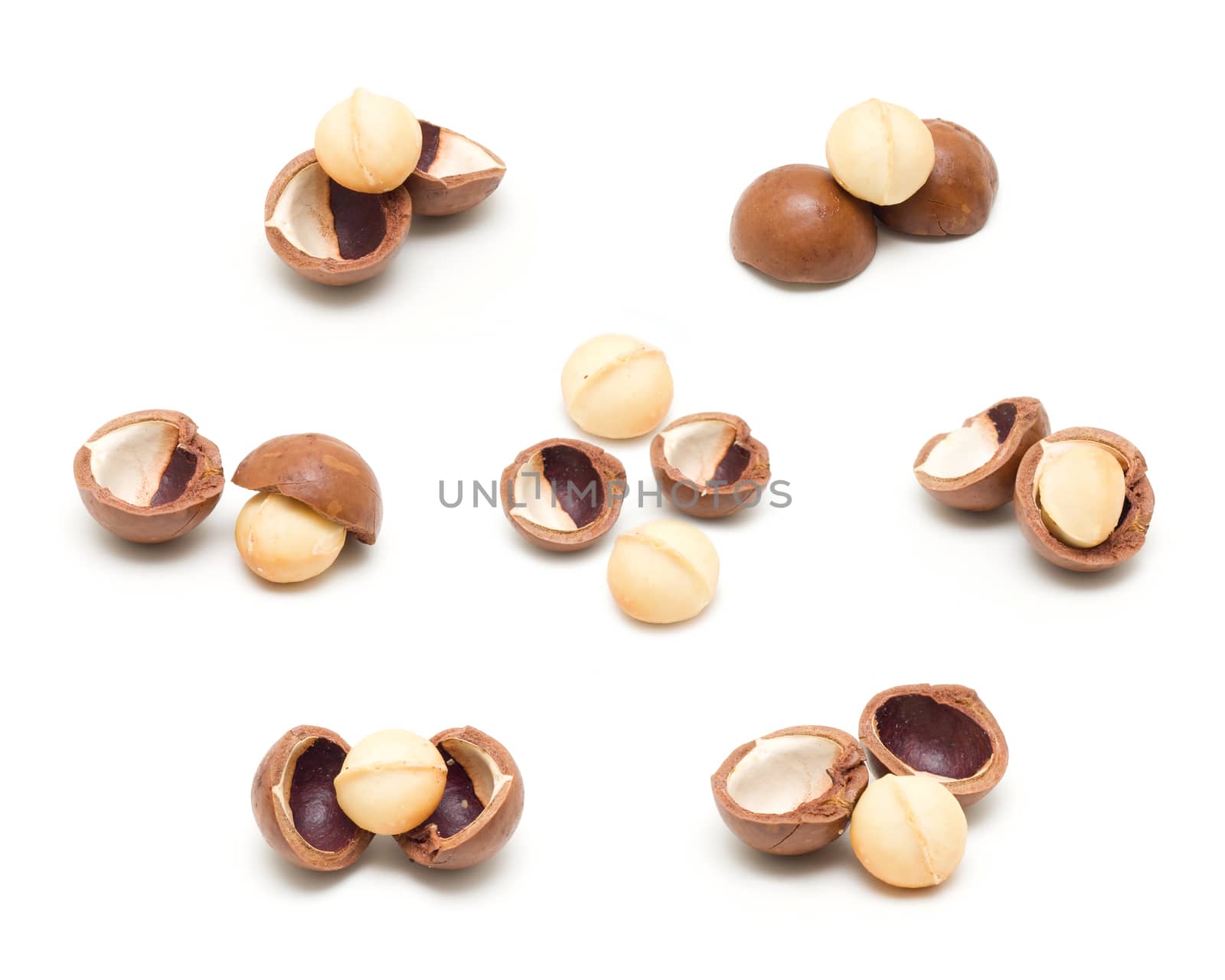 Macadamia nuts isolated