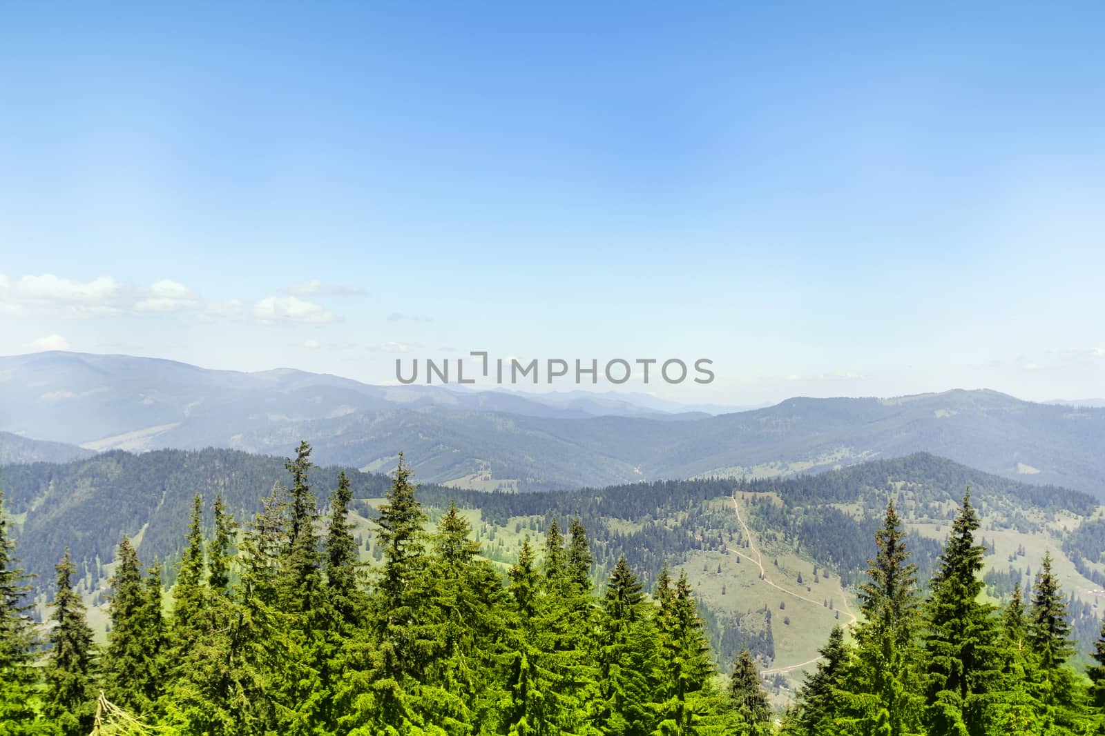 Mountains with green forest landscape.