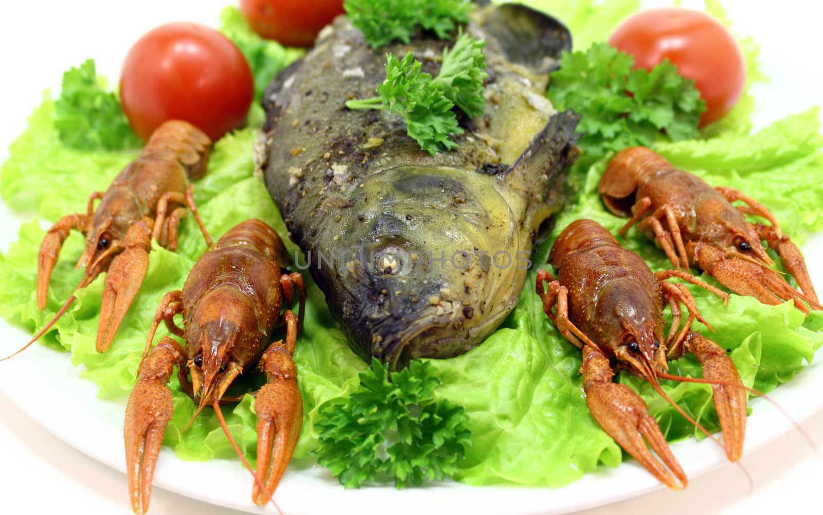 Dish with crayfish smoked fish,salad and tomato
