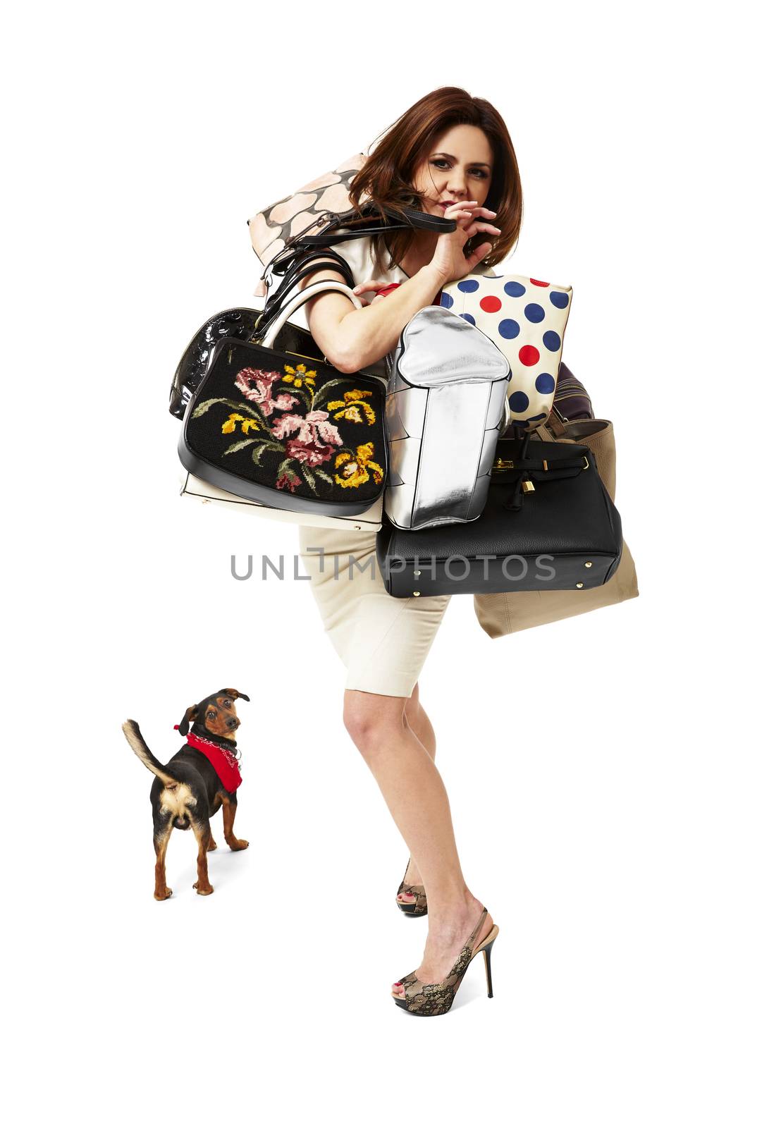 Studio shot of young woman on shopping. Copy space. 