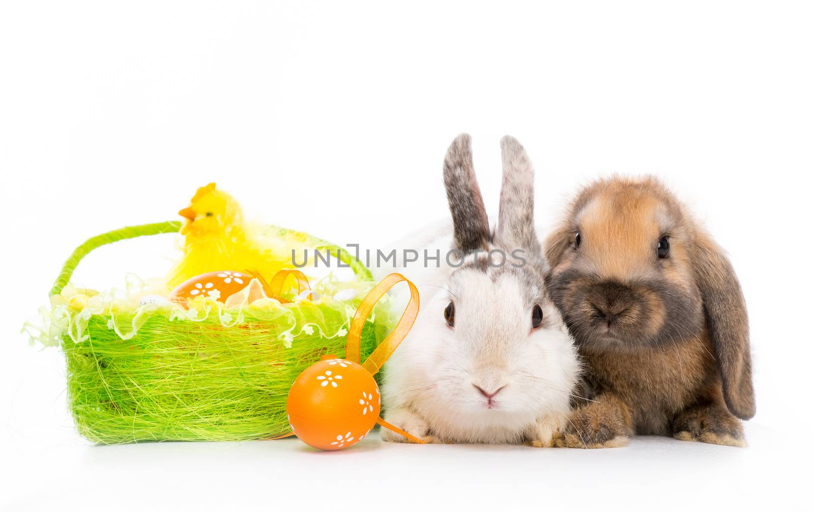two rabbits and basket of Easter eggs on a white background