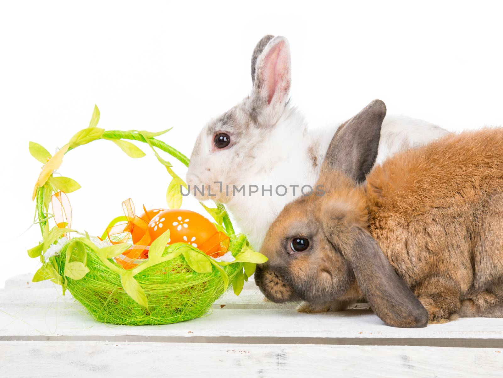 Two Easter bunny and basket with eggs isolated on white background