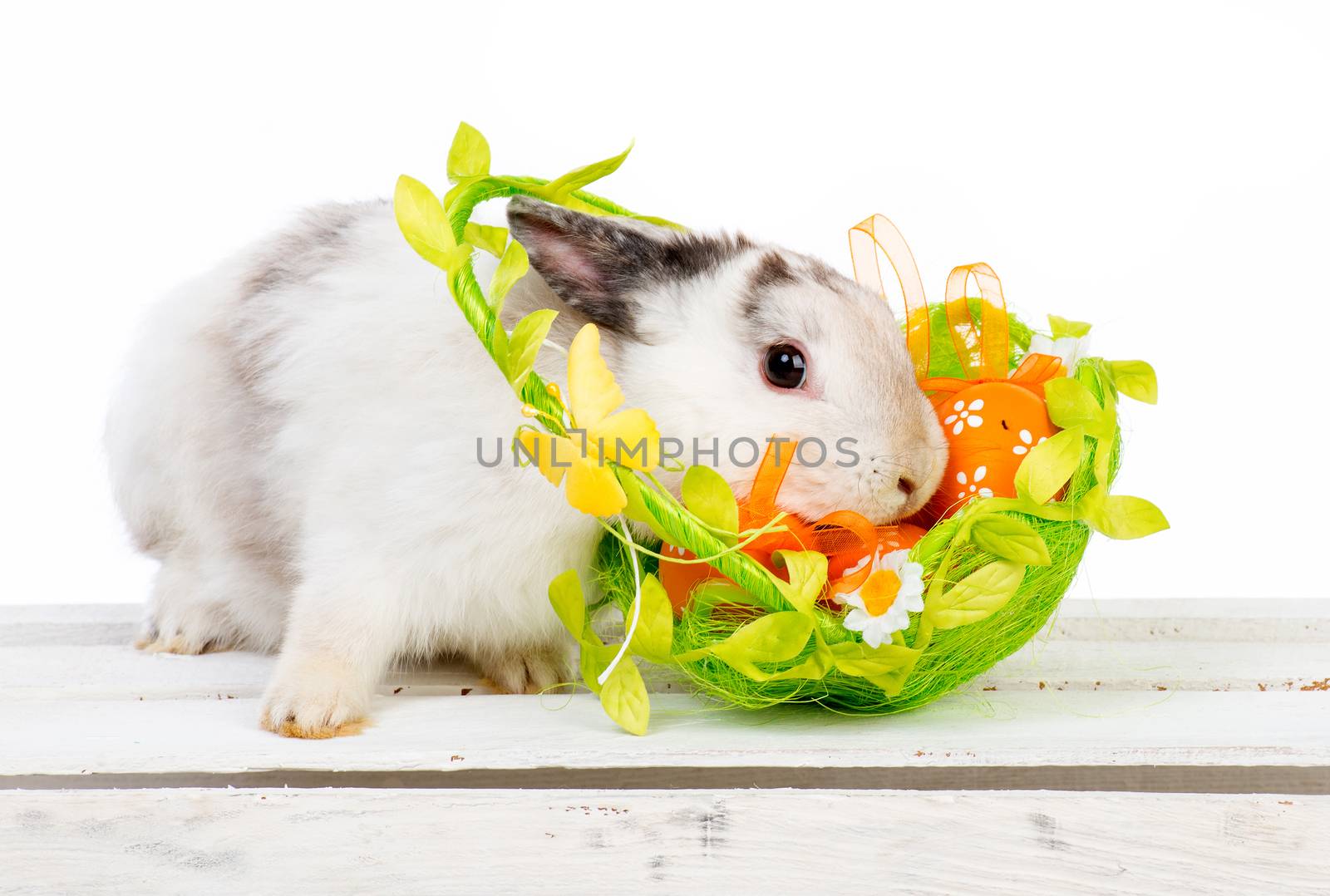 Easter bunny with basket by GekaSkr
